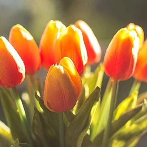 🌷High Quality Artificial Latex Tulips(PCS 10)