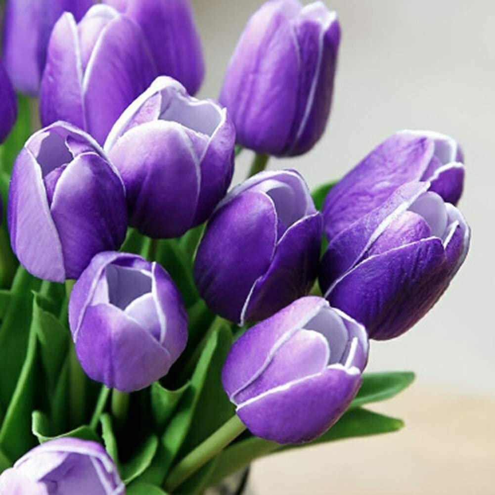 🌷High Quality Artificial Latex Tulips(PCS 10)