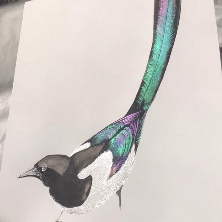 Shifting Watercolor Painting Set
