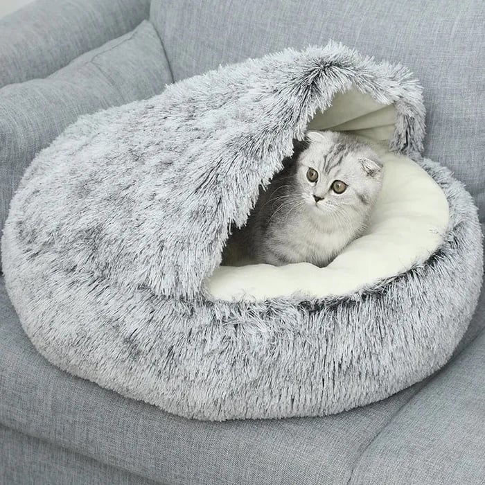 🐶🐱49% OFF🔥Plush Bed For Dogs & Cats