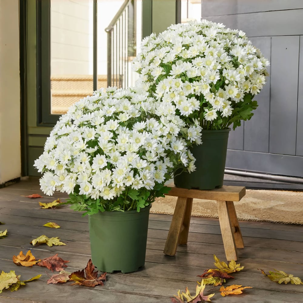 🔥 Limited-Time Offer 🔥 — Artificial Flower Bouquet