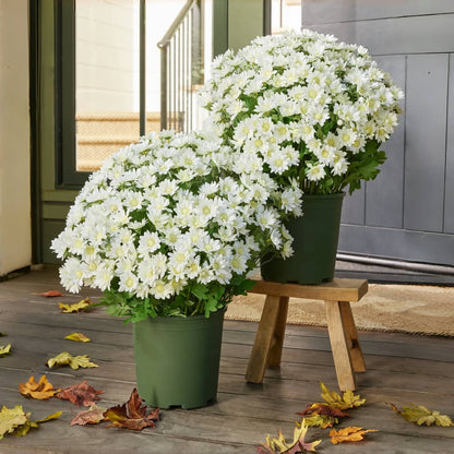 🔥 Limited-Time Offer 🔥 — Artificial Flower Bouquet