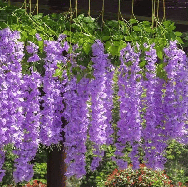 ✨This Week's Special Sale 49% Off - UV Simulation Artificial Wisteria