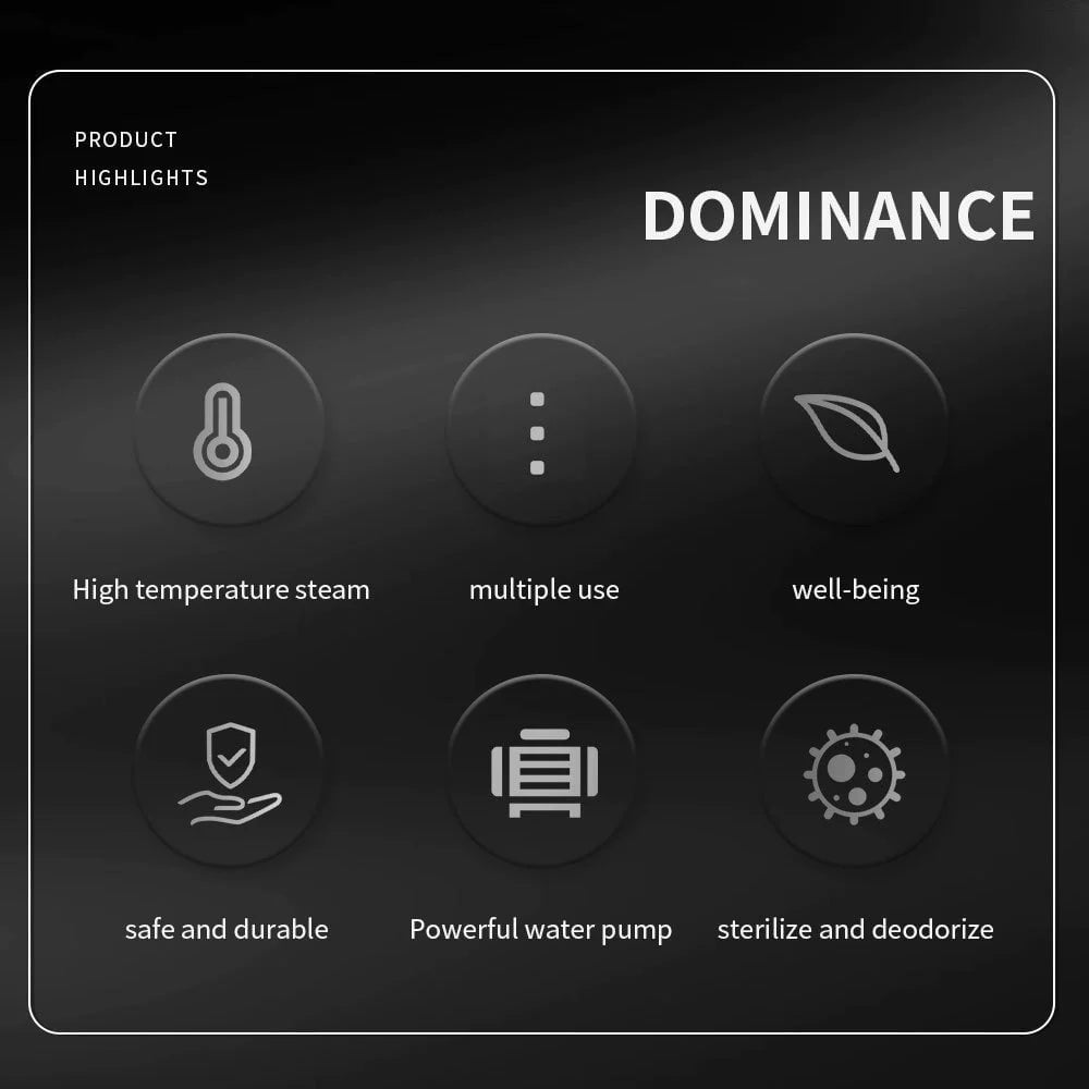 Steam Disinfection Cleaner