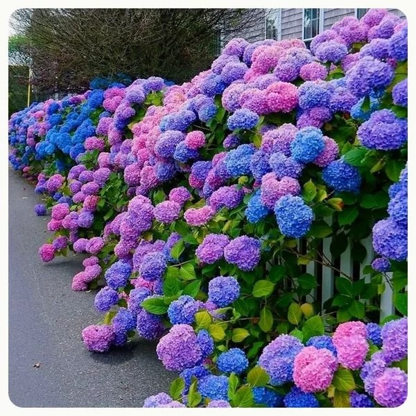 💐UV Resistant Lifelike Artificial Hydrangea Flowers