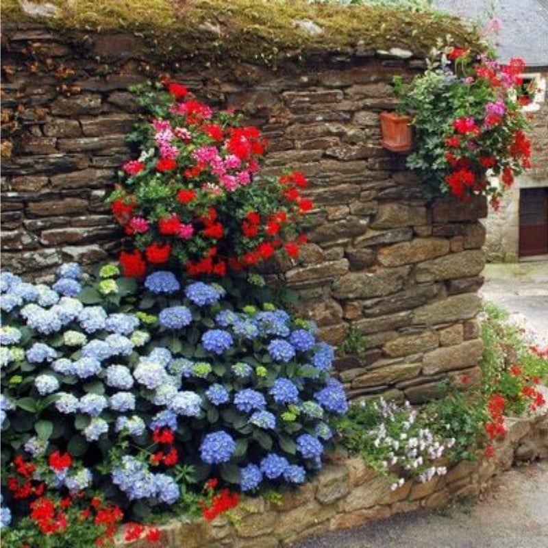 💐UV Resistant Lifelike Artificial Hydrangea Flowers