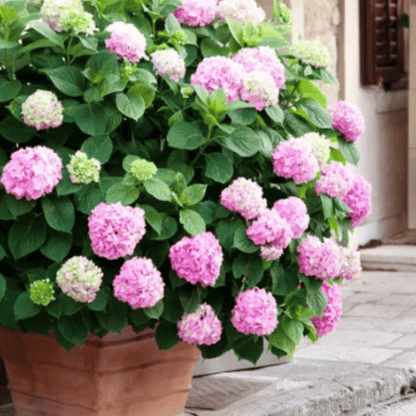 💐UV Resistant Lifelike Artificial Hydrangea Flowers