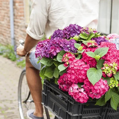 💐UV Resistant Lifelike Artificial Hydrangea Flowers