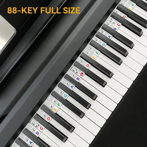 🎁Best Gift - Removable Piano Keyboard Note Labels🎹