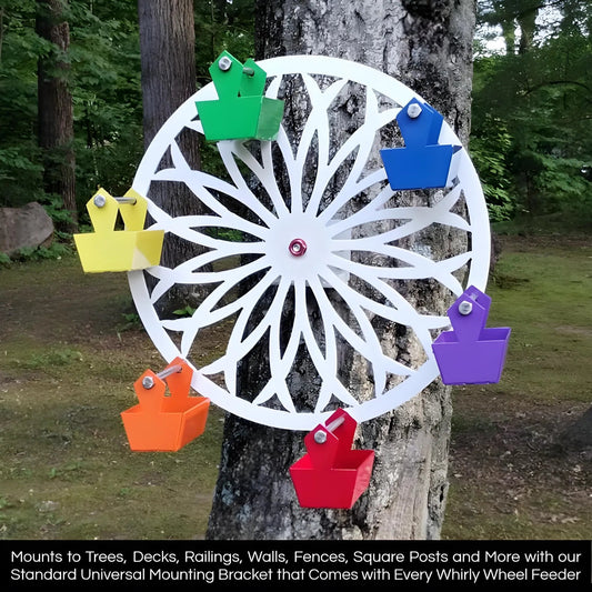 The Ferris Wheel Of Fun For Your Feathered Friends