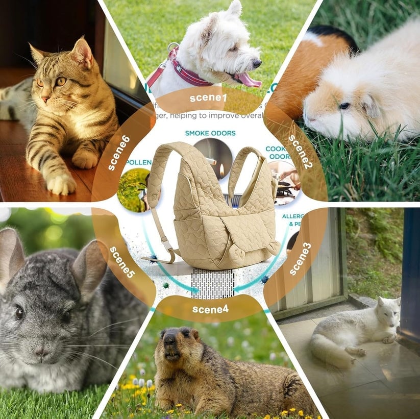 Pet Carrier Vest – Hands-Free Comfort for Small Dogs and Cats