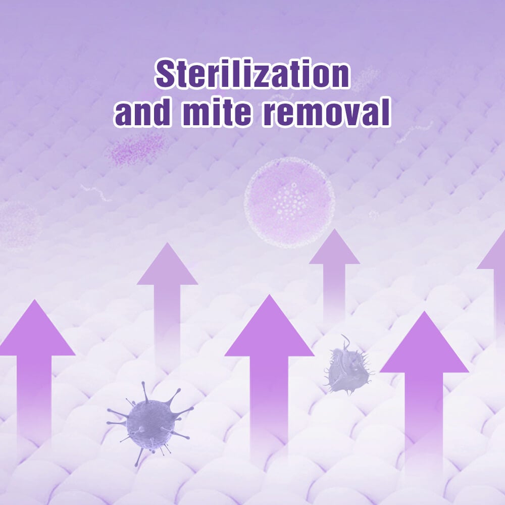 🔥Hot Sale✨Handheld Mini Electric Dry Iron