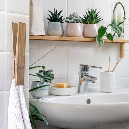 Clothespin Bathroom Towel Holder