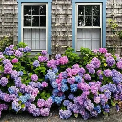 💐UV Resistant Lifelike Artificial Hydrangea Flowers